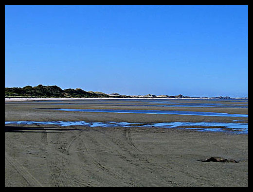 Farwell Spit